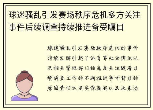 球迷骚乱引发赛场秩序危机多方关注事件后续调查持续推进备受瞩目 球迷骚乱引发赛场秩序危机多方关注事件后续调查持续推进备受瞩目